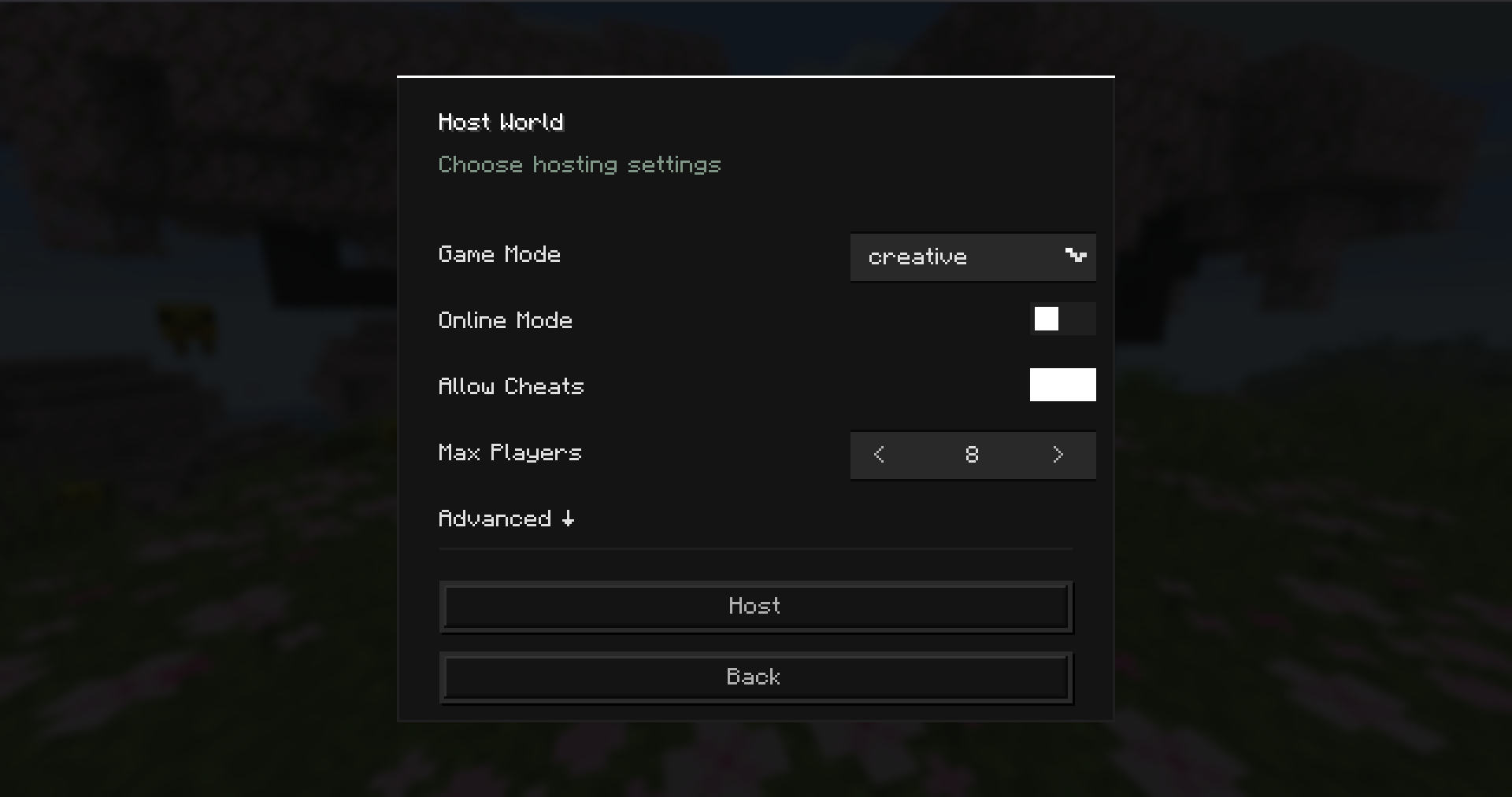 Pawn hosting settings